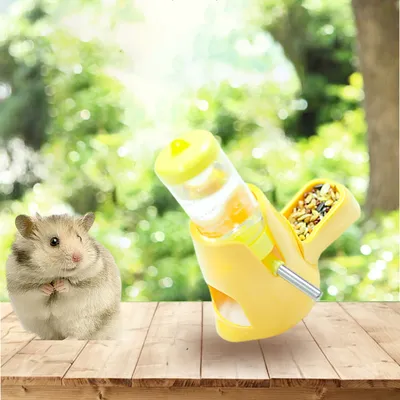 Zoomtopia Mangeoire automatique pour petits animaux