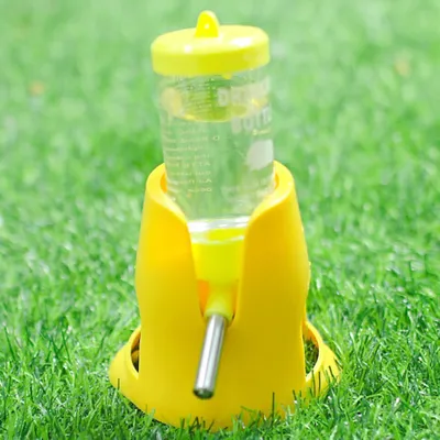 Zoomtopia Mangeoire automatique pour petits animaux