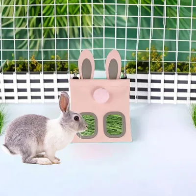 Pawzy Mangeoire à foin pour petits animaux