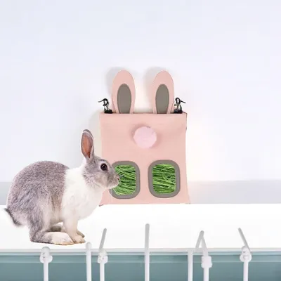 Pawzy Mangeoire à foin pour petits animaux