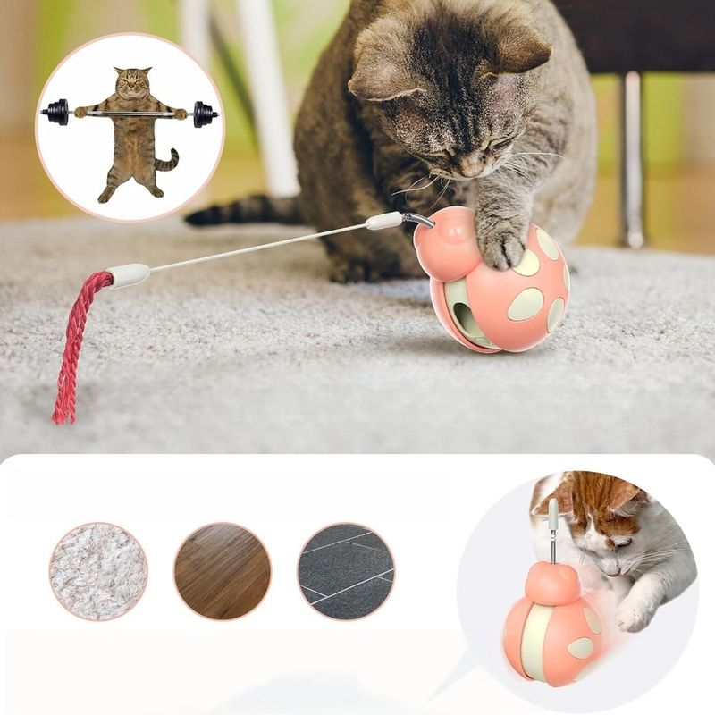 Zoomtopia Jouet interactif multifonctionnel pour chat