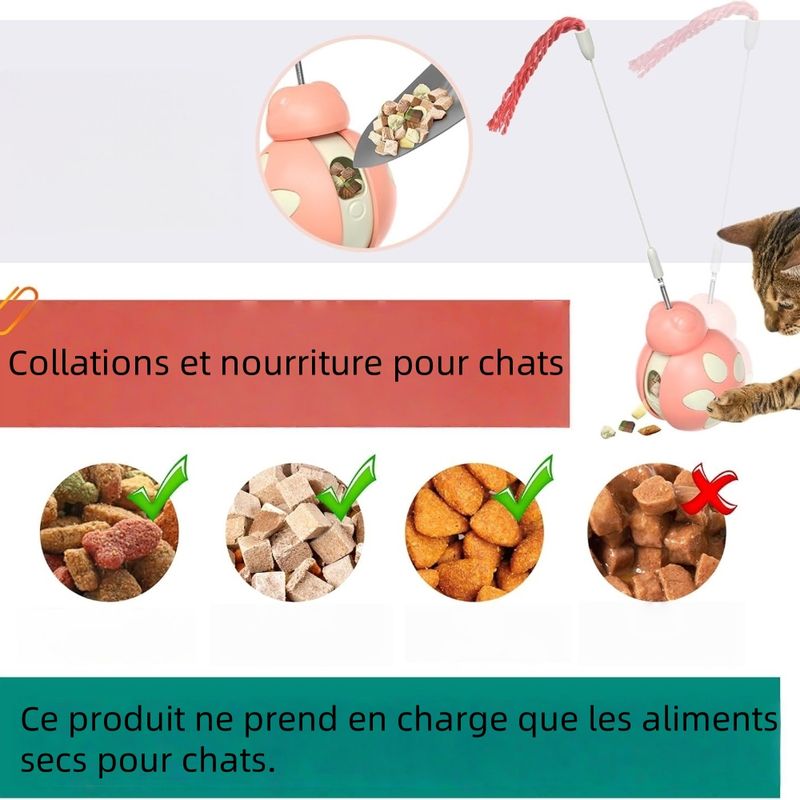 Zoomtopia Jouet interactif multifonctionnel pour chat