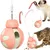 Zoomtopia Jouet interactif multifonctionnel pour chat Zoomtopia Jouet interactif multifonctionnel pour chat