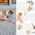 Zoomtopia Jouet interactif multifonctionnel pour chat