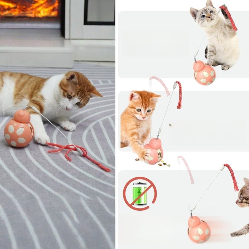 Zoomtopia Jouet interactif multifonctionnel pour chat