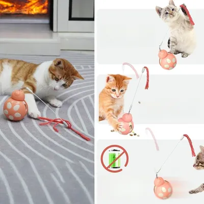 Zoomtopia Jouet interactif multifonctionnel pour chat