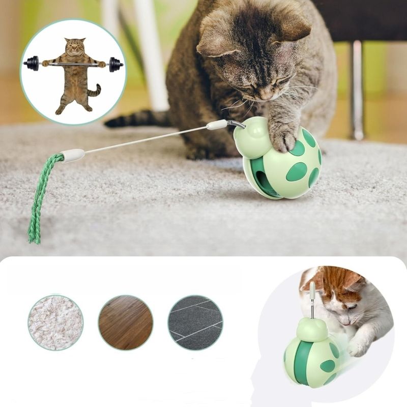 Zoomtopia Jouet interactif multifonctionnel pour chat