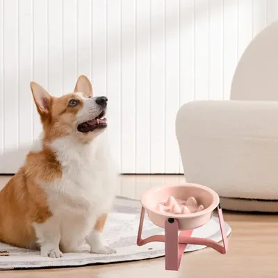 Zoomtopia Bol d'alimentation lente pour chien et chat Zoomtopia Bol d'alimentation lente pour chien et chat