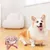 Zoomtopia Bol d'alimentation lente pour chien et chat Zoomtopia Bol d'alimentation lente pour chien et chat
