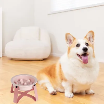 Zoomtopia Bol d'alimentation lente pour chien et chat Zoomtopia Bol d'alimentation lente pour chien et chat
