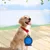 Pawzy Gamelle double pliable pour chien et chat Pawzy Gamelle double pliable pour chien et chat