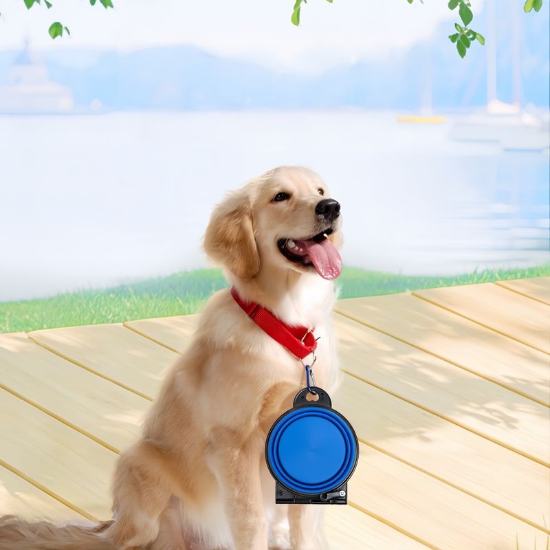 Pawzy Gamelle double pliable pour chien et chat