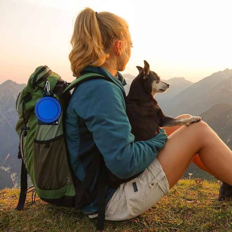 Pawzy Gamelle double pliable pour chien et chat