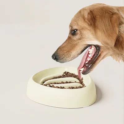 Zoomtopia Gamelle anti - étouffement pour chien