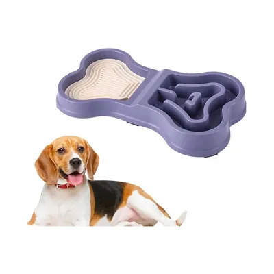 Zoomtopia Gamelle anti - glouton pour chien et chiot