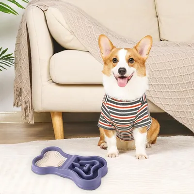 Zoomtopia Gamelle anti - glouton pour chien et chiot