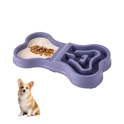 Zoomtopia Gamelle anti - glouton pour chien et chiot