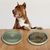 Pawzy Gamelle anti - glouton pour  chien