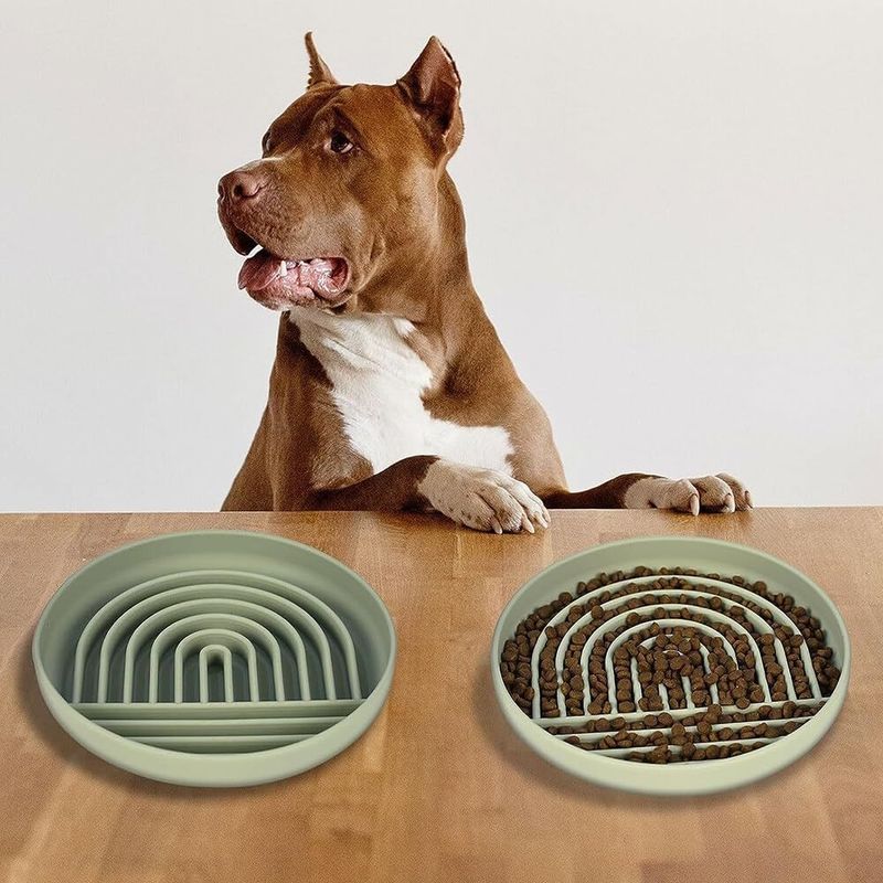 Pawzy Gamelle anti - glouton pour  chien