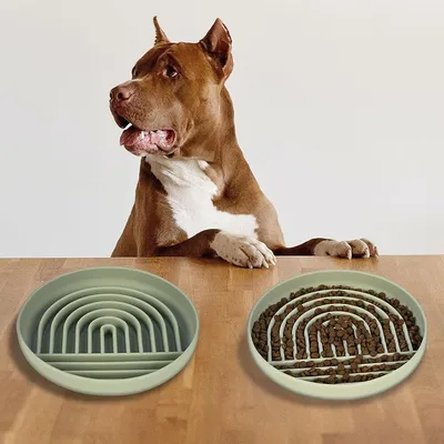 Pawzy Gamelle anti - glouton pour  chien