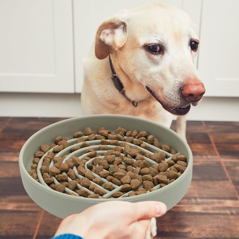 Pawzy Gamelle anti - glouton pour  chien
