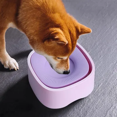 Zoomtopia Bol d'eau pour chien