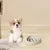 Zoomtopia Gamelle anti - étouffement pour chien Zoomtopia Gamelle anti - étouffement pour chien