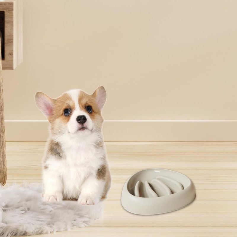 Zoomtopia Gamelle anti - étouffement pour chien