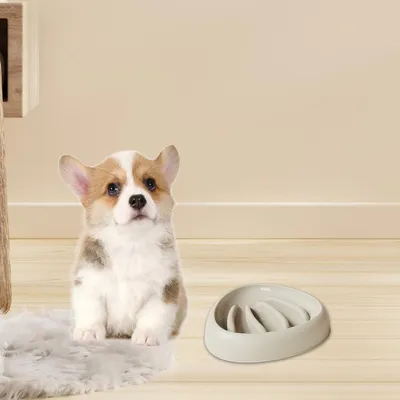 Zoomtopia Gamelle anti - étouffement pour chien Zoomtopia Gamelle anti - étouffement pour chien