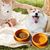 IntiMeg Bol double en silicone pour chien de voyage
