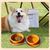 IntiMeg Bol double en silicone pour chien de voyage