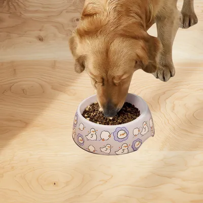 Zoomtopia Double gamelle en acier inoxydable pour animaux de compagnie Zoomtopia Double gamelle en acier inoxydable pour animaux de compagnie