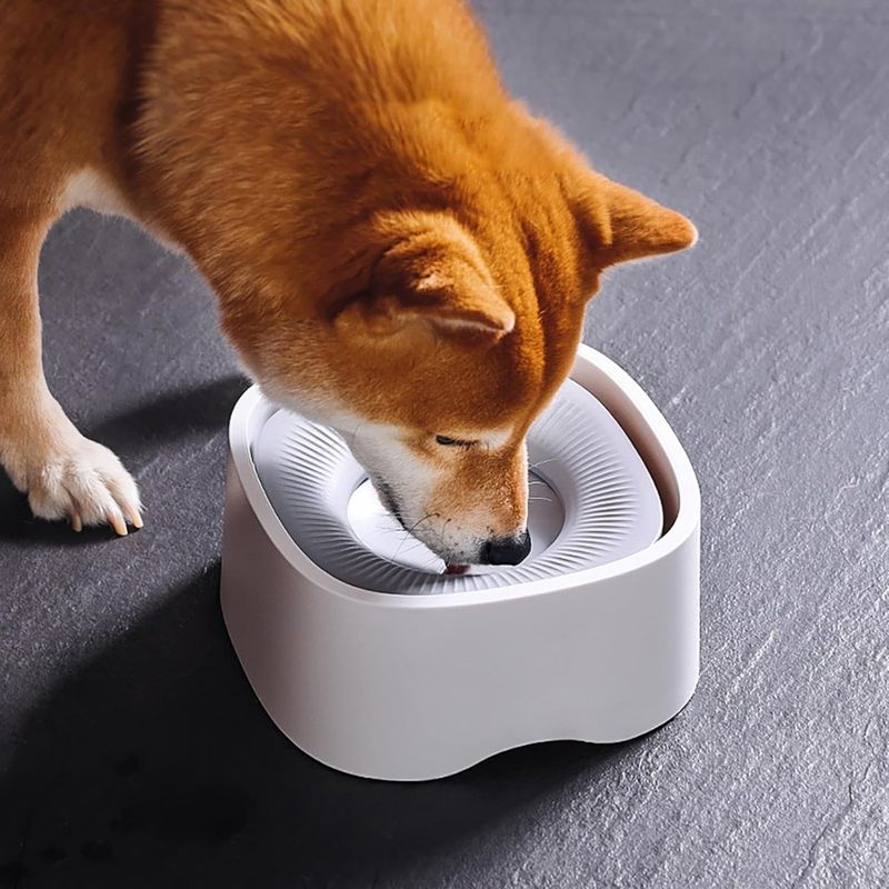 Zoomtopia Bol d'eau pour chien