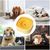 Zoomtopia Bol d'eau pour chien