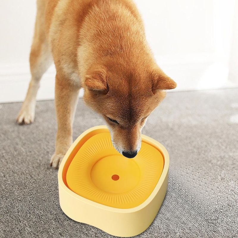 Zoomtopia Bol d'eau pour chien
