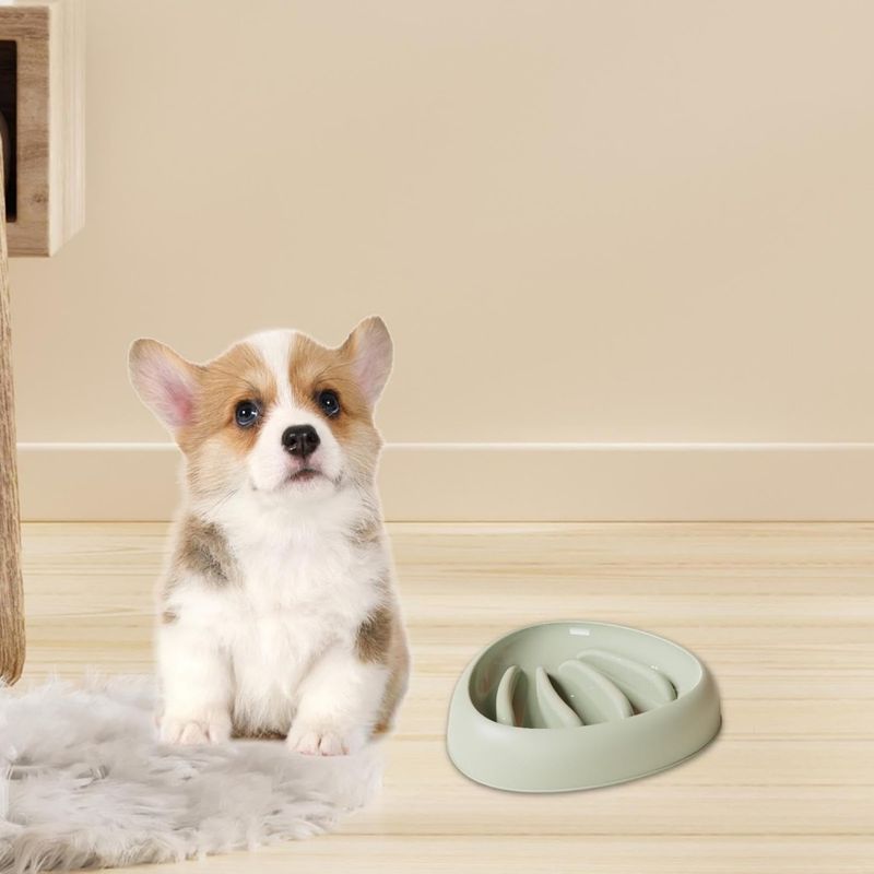 Zoomtopia Gamelle anti - étouffement pour chien