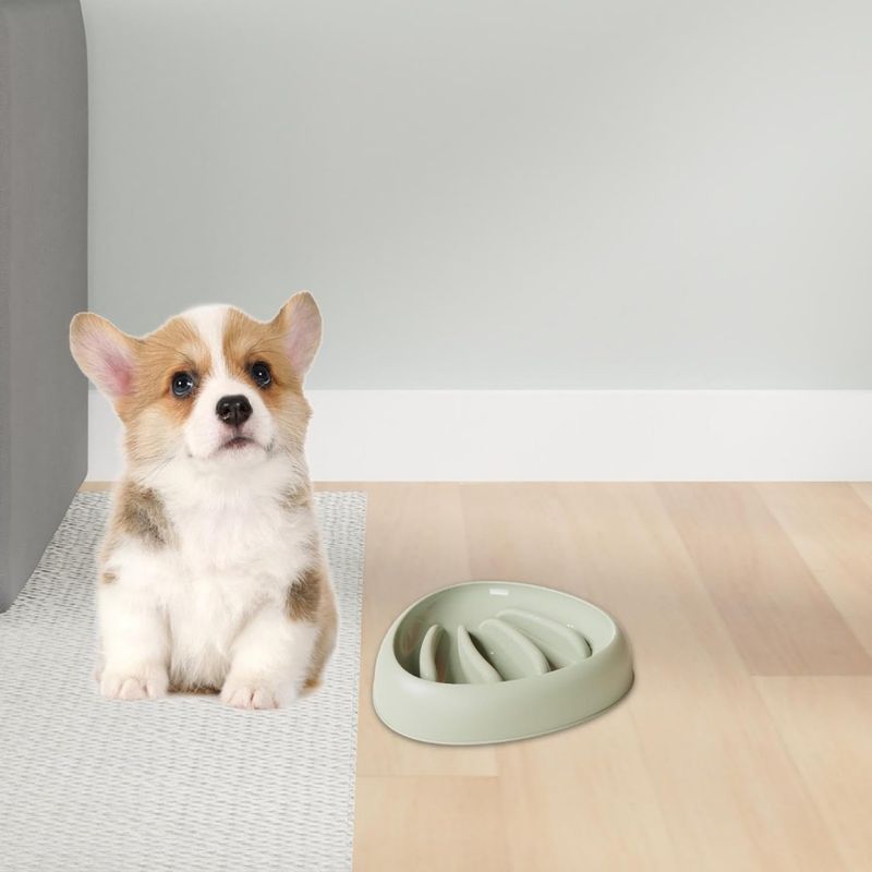 Zoomtopia Gamelle anti - étouffement pour chien