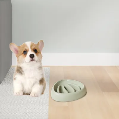 Zoomtopia Gamelle anti - étouffement pour chien Zoomtopia Gamelle anti - étouffement pour chien