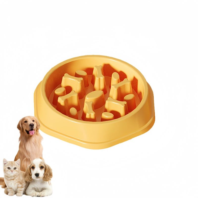 Pawzy Gamelle anti - glouton pour chien
