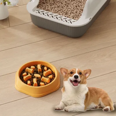 Pawzy Gamelle anti - glouton pour chien Pawzy Gamelle anti - glouton pour chien