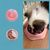 Zoomtopia Gamelle anti - glouton pour chien