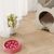 Zoomtopia Gamelle anti - glouton pour chien