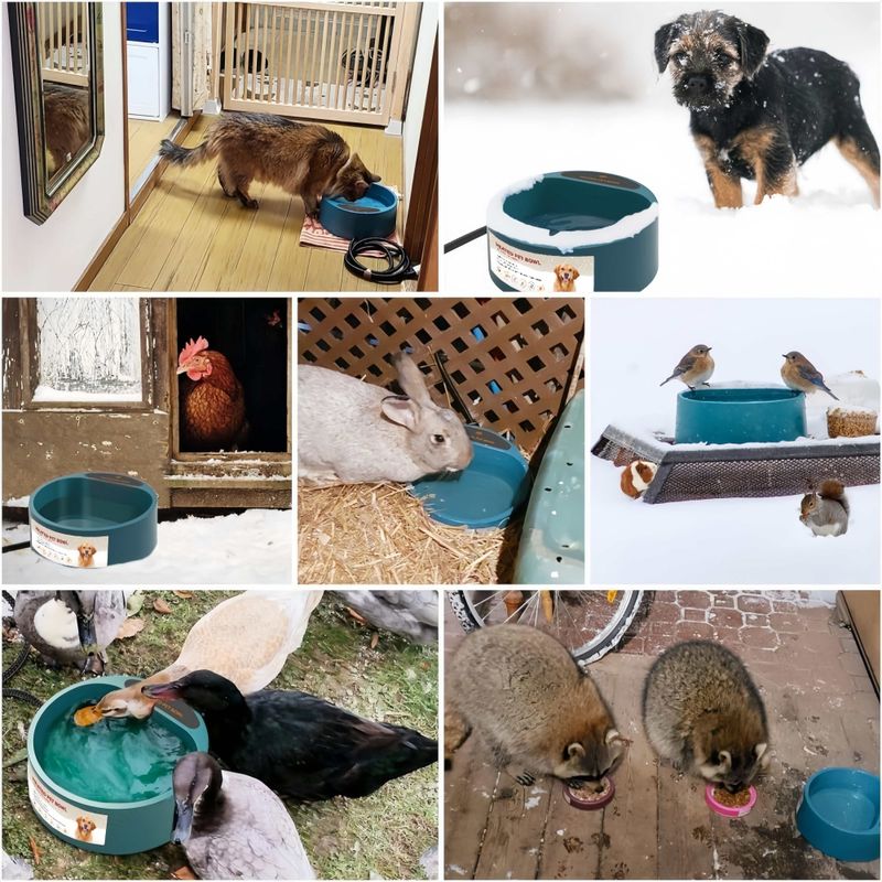 FurryFusion Bol d'eau chauffant pour animaux