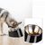 Zoomtopia Bol incliné pour chien et chat
