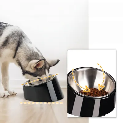 Zoomtopia Bol incliné pour chien et chat Zoomtopia Bol incliné pour chien et chat