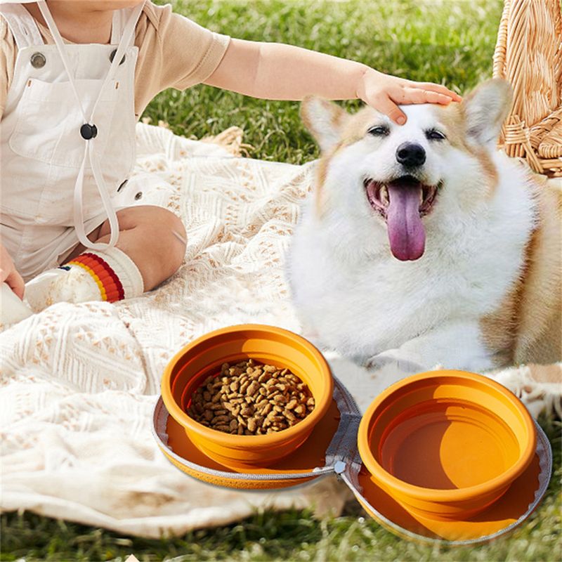 IntiMeg Bol double en silicone pour chien de voyage