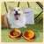 IntiMeg Bol double en silicone pour chien de voyage