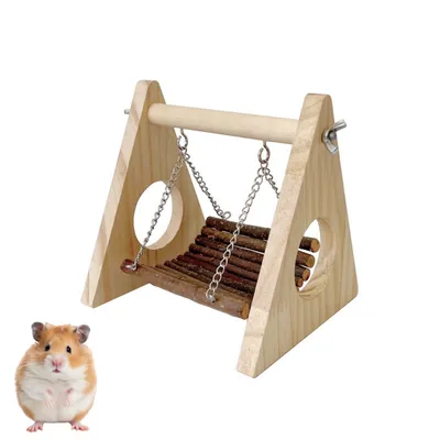 Pawzy Jouet swing pour petit animal de compagnie
