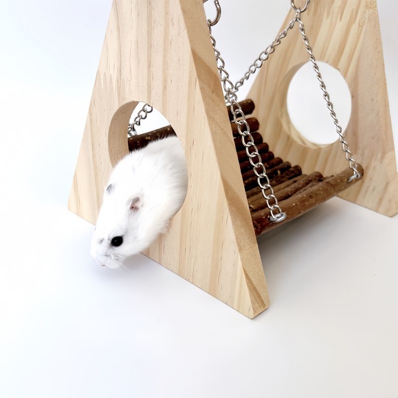Pawzy Jouet swing pour petit animal de compagnie