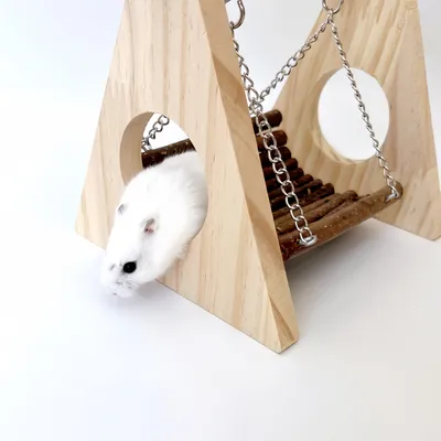 Pawzy Jouet swing pour petit animal de compagnie